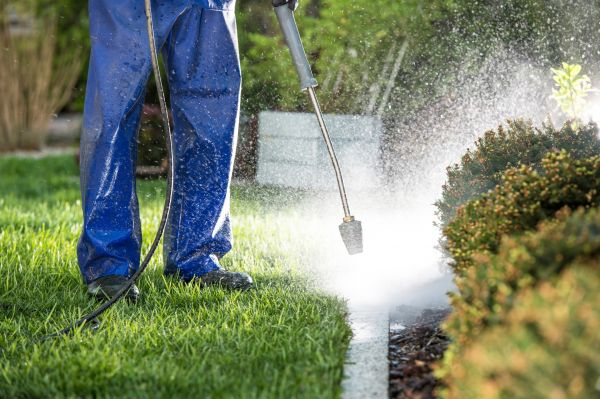 Cost of Curb Cleaning in Orlando