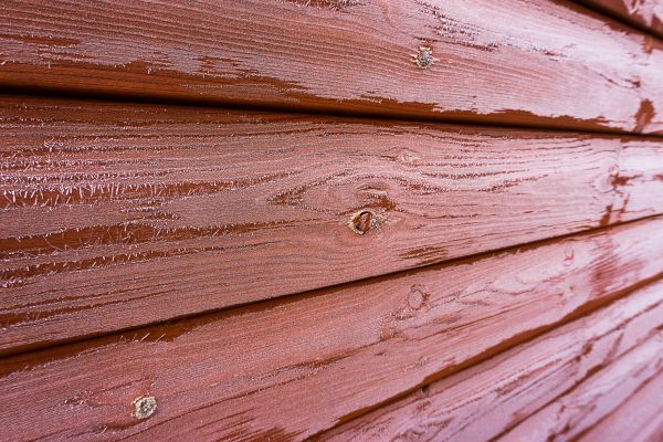 Cost of Cedar Siding Cleaning in Orlando