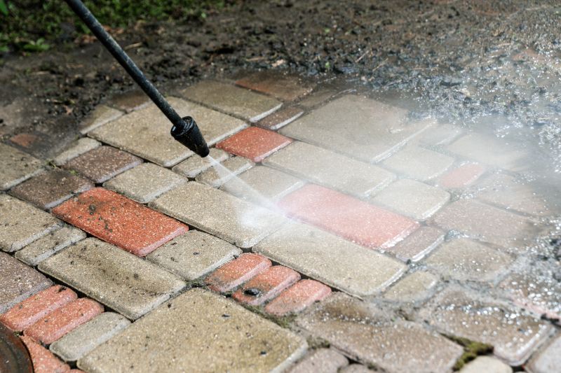 Paver Walkway Cleaning